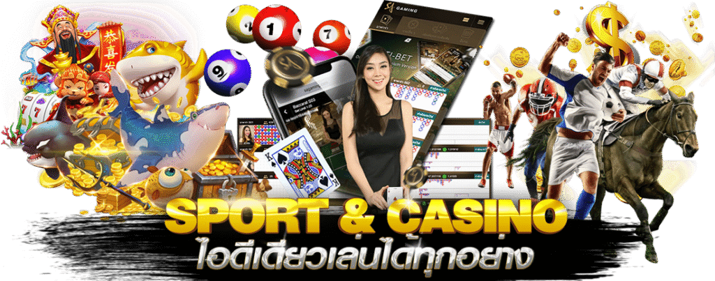 winner sport casino x