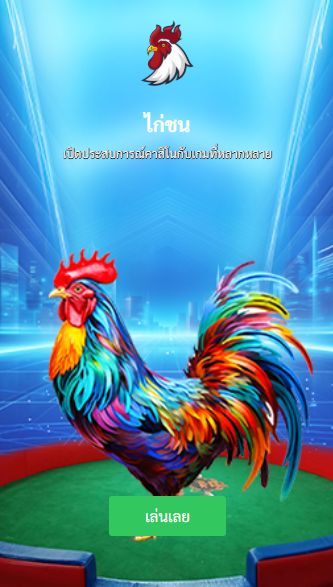 winner ไก่ชน